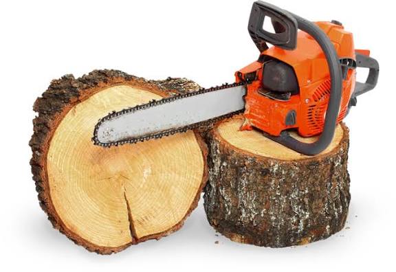 Chainsaw resting on cut log sections